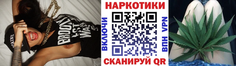 ГАШ Кингисепп