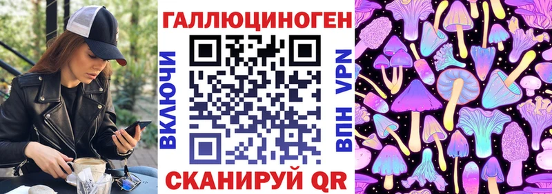 Купить  Кингисепп  Галлюциногенные грибы прущие грибы 